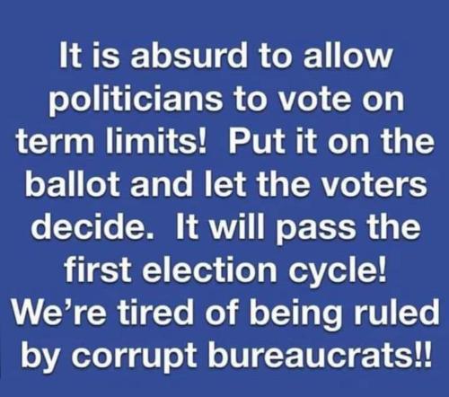 AN term limits