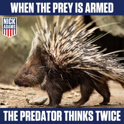 Armed