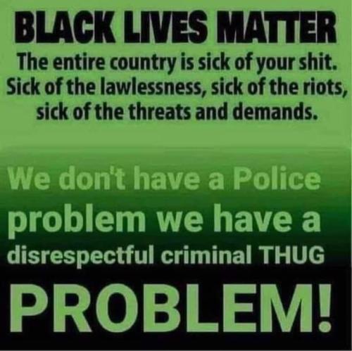 76d8e6fcb6d32f0619151a87bde3a1e7_500x0