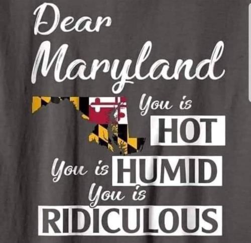 FB_IMG_1658624486227