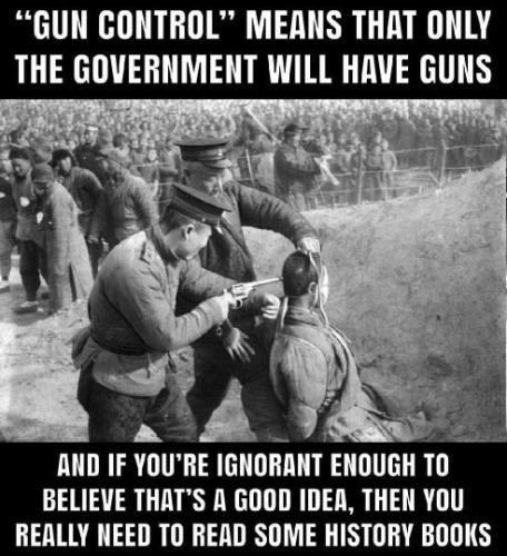 gun control