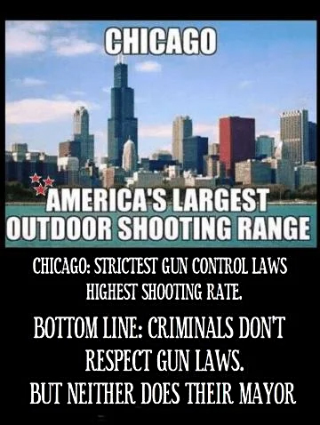 Chicago guns