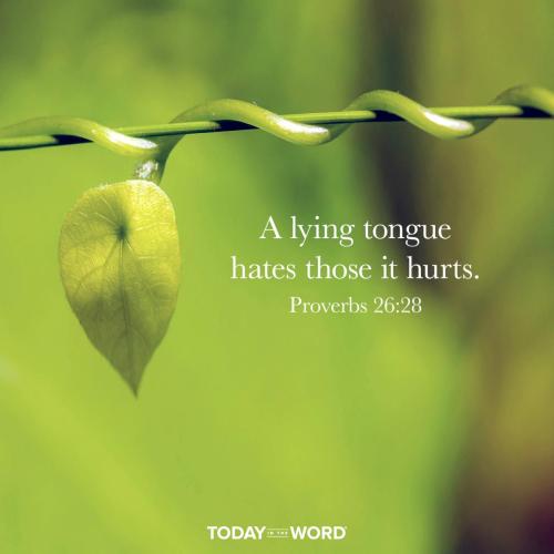 2AA919A8-FDCD-46EC-93E2-73B1989E380C