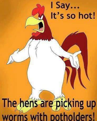 It is hot