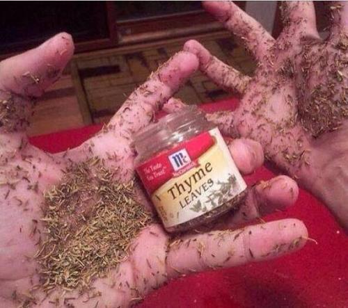 thyme