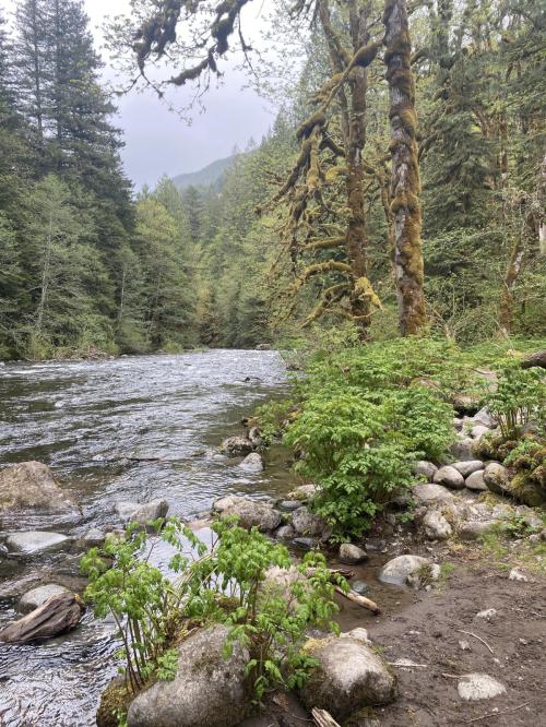 FB47B4A8-F874-4684-902A-E67411D5A9C8