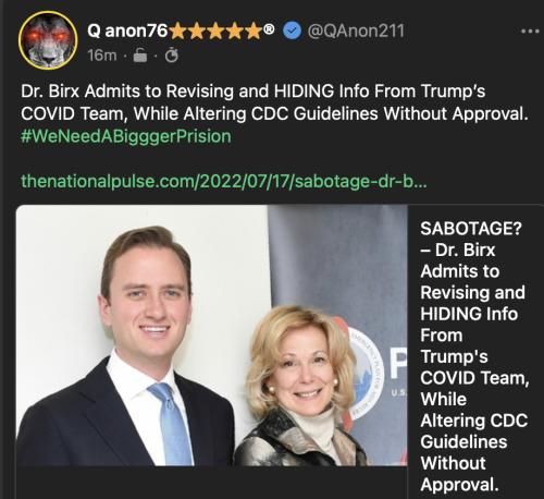 Brix admits lying