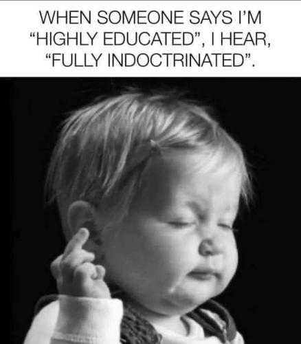 Indoctrinated - Highly educated