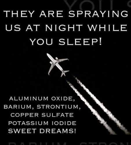 808F752F-A1B8-45AB-AB74-37A3838294B6