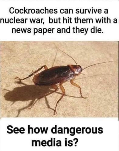 Just like a Demonrat