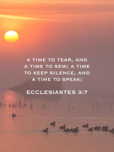 DFB760C6-97D5-4CF0-B714-AE43E7F7E7E4