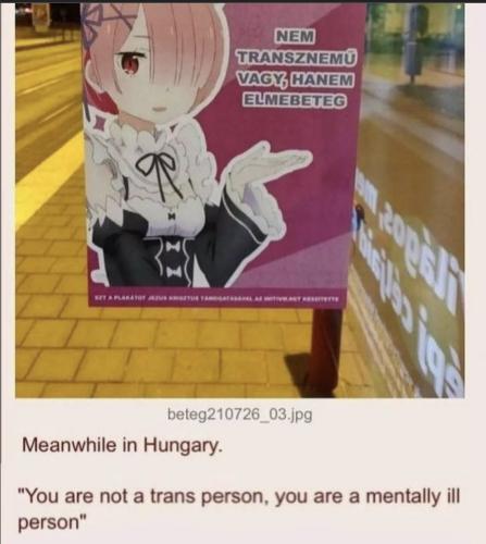 Hungary not trans