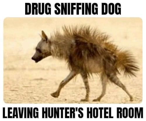 DrugDog