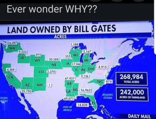 Screenshot_20220722-081636_DuckDuckGo