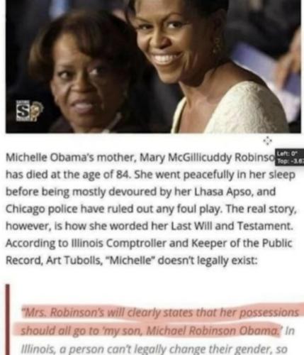 michael Robinson Obama