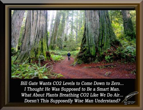 Bill Gate ~ CO2 Levels to Zero~ 2