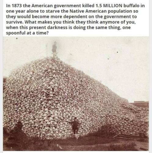 IMG_20220705_055945_106