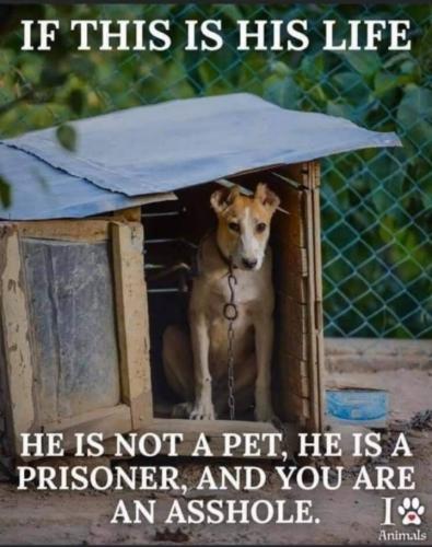 1DEA7D27-90A1-4F5A-AB31-7759B848BA06