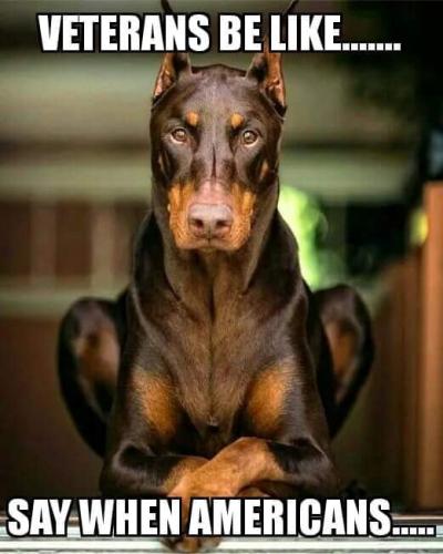 Veterans be like say when America