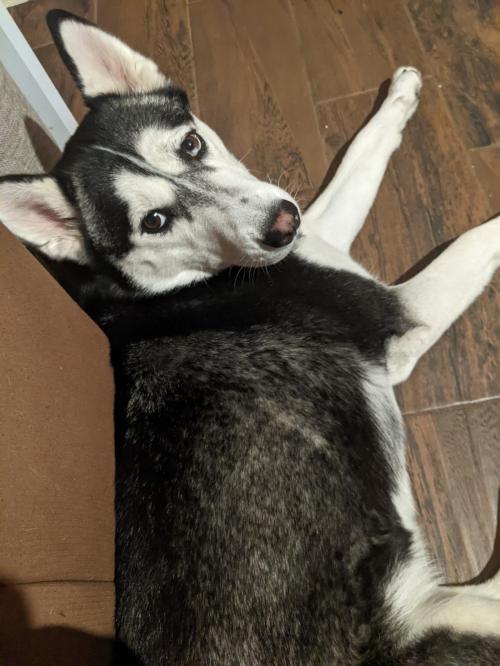 PXL_20220703_190953892