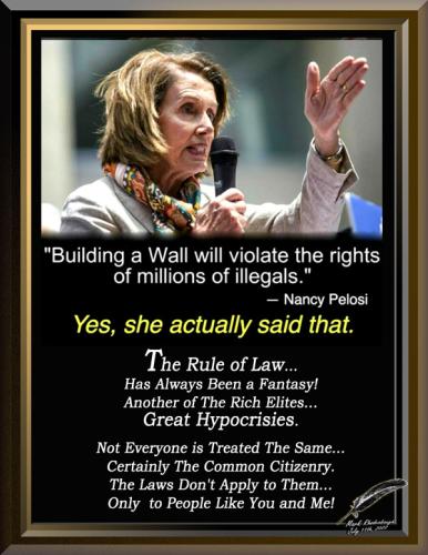 Nancy Pelosi ~The Idiot Puppet~