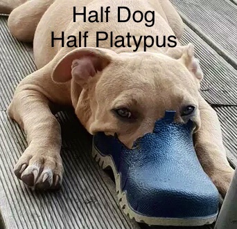 B78D7A4C-B46D-445A-BEDC-A502A3E2B831