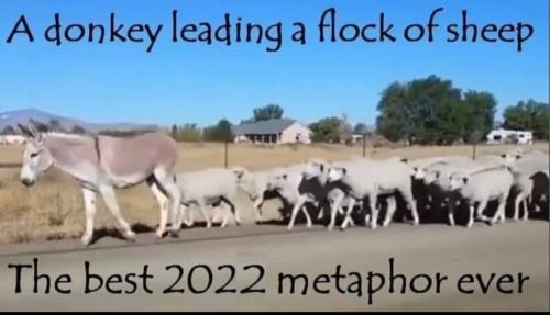 6a927ac1-982e-4ae0-b117-224ac49446a2