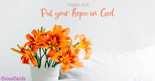 25232-psalm-435---hope