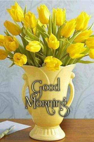 FB_IMG_1655055747037