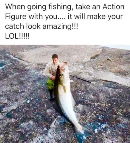 Action Figure