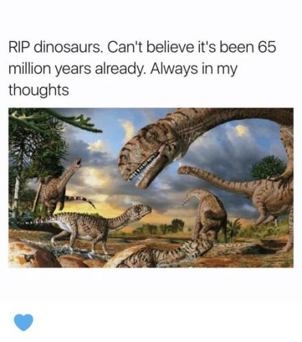 dinosaurs