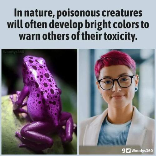 296202571_149435001078890_3971791203183872829_n