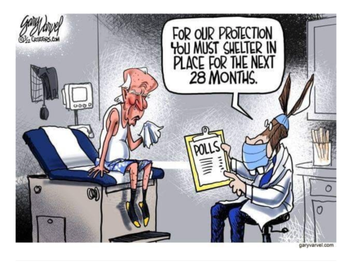 Screenshot_20220728-071814~2