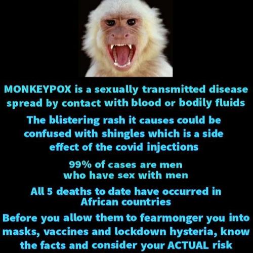 c5047379-045d-46af-a6a4-9bcb01ea9b6a