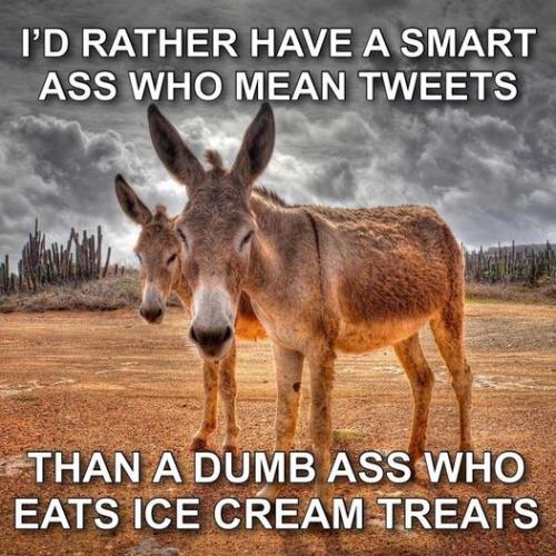 id rather have a smart ass