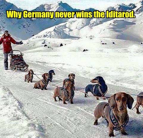 iditarod