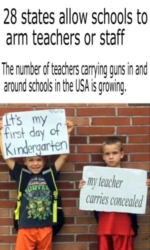 concealed+carry+schools+USA