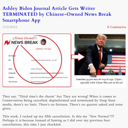 NewsBreak app article
