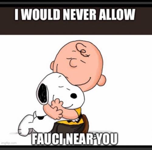 42becd9a-f653-49ff-877e-7351c815214b