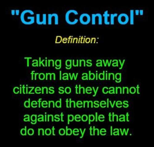 USA gun control def