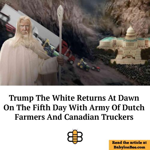 Trump the white