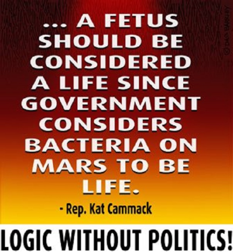 A fetus should be considered life