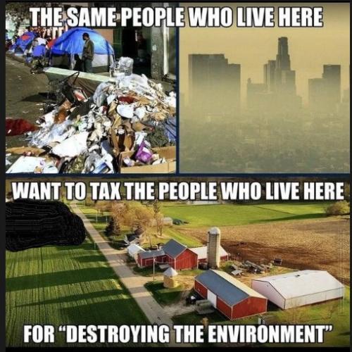 Environment