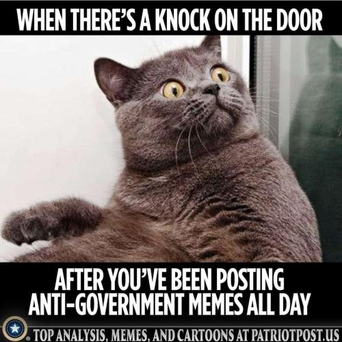anti gov't meme
