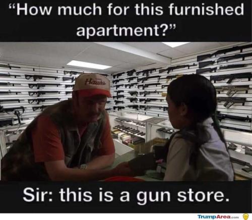 Gun - store - my new place
