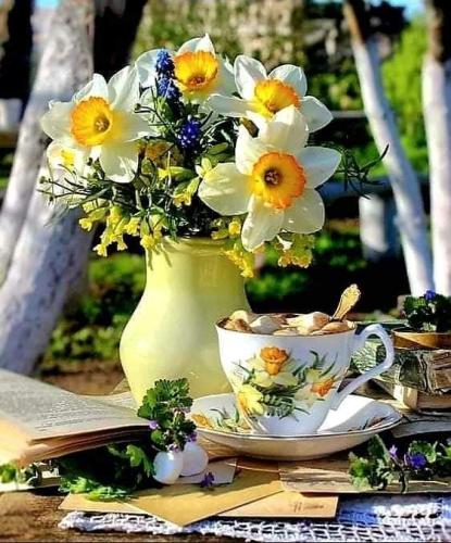 FB_IMG_1658373408052