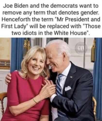 USA 2 idiots