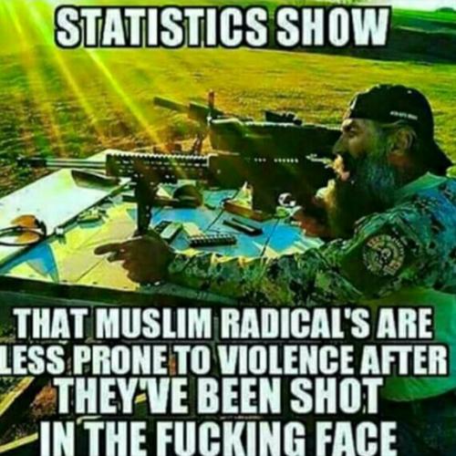 stats show that