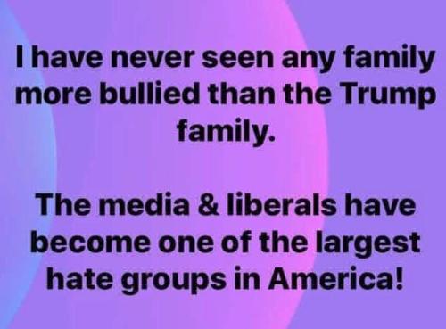 Media40