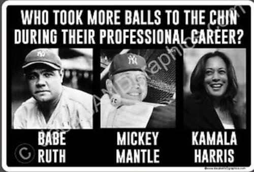 1500_52286e48966d044a6925200d0a6166d6